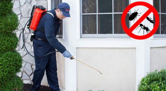 Altıevler Tahtakurusu İlaçlama böcek ilaçlama ve haşere kontrolü — ilaclama-tr.com